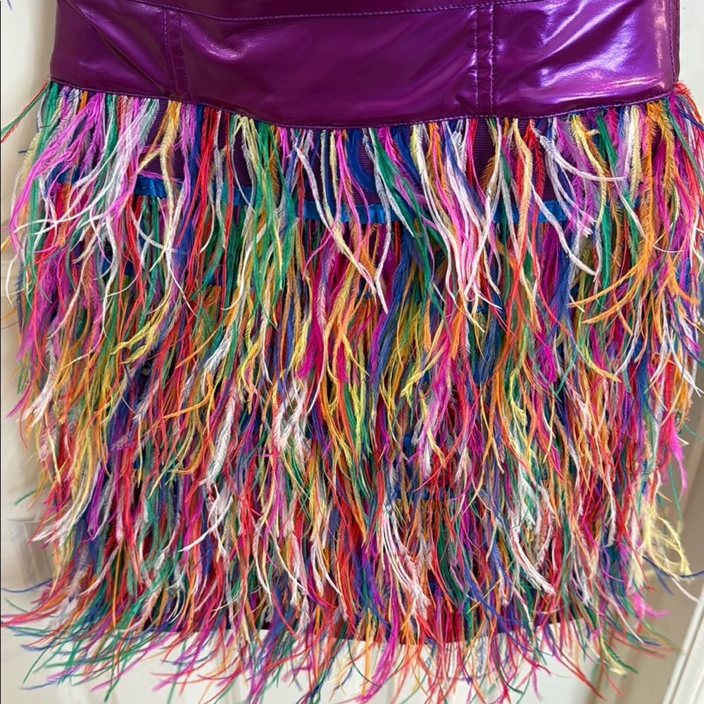 Colorful Feathered Dress with Purple Band - Picture 3 of 6